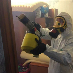 Уничтожение клопов в квартире. Тотьма